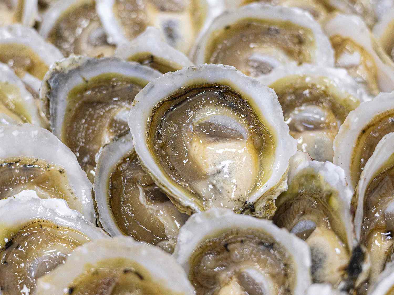 Oysters from Ostras Bilbao