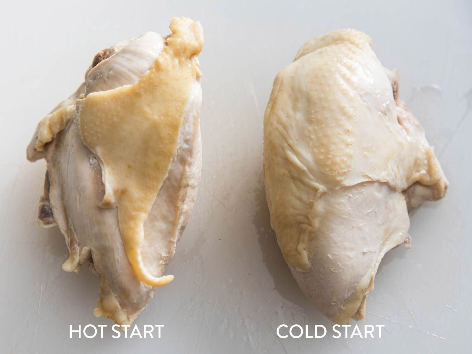 Side-by-side comparison of whole skin-on chicken breast using two poaching methods. The traditional method shows chicken that is tight and contracted and dry; the method offered by this recipe shows one that is plump with a relaxed appearance and minimal contracting of skin and flesh.