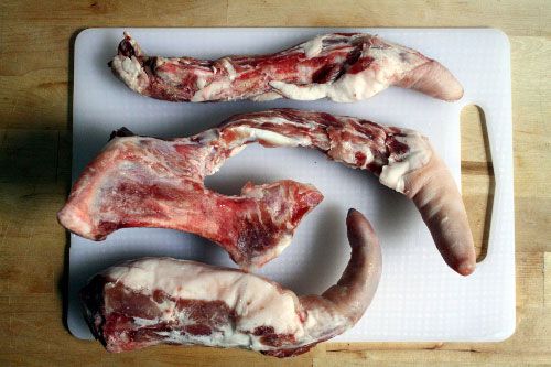 butchered pig tails