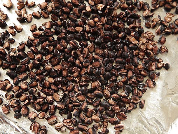 Canned black beans after baking for 20 minutes.