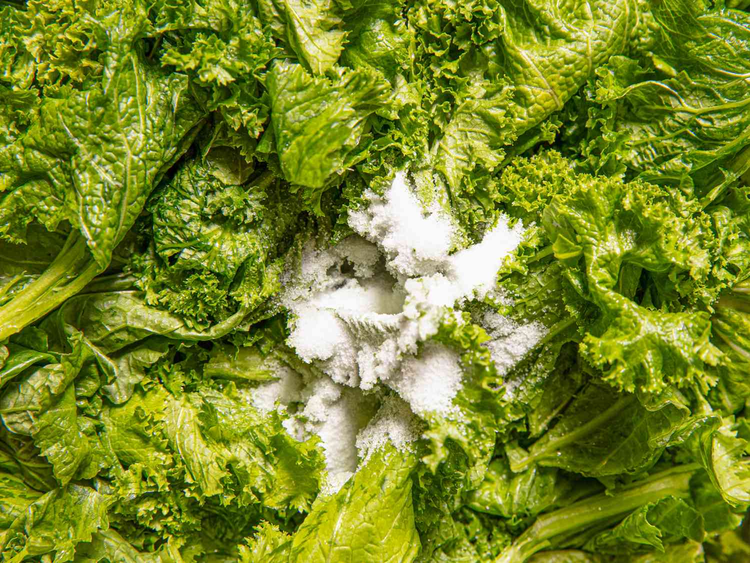 Close up of mustard greens with salt 