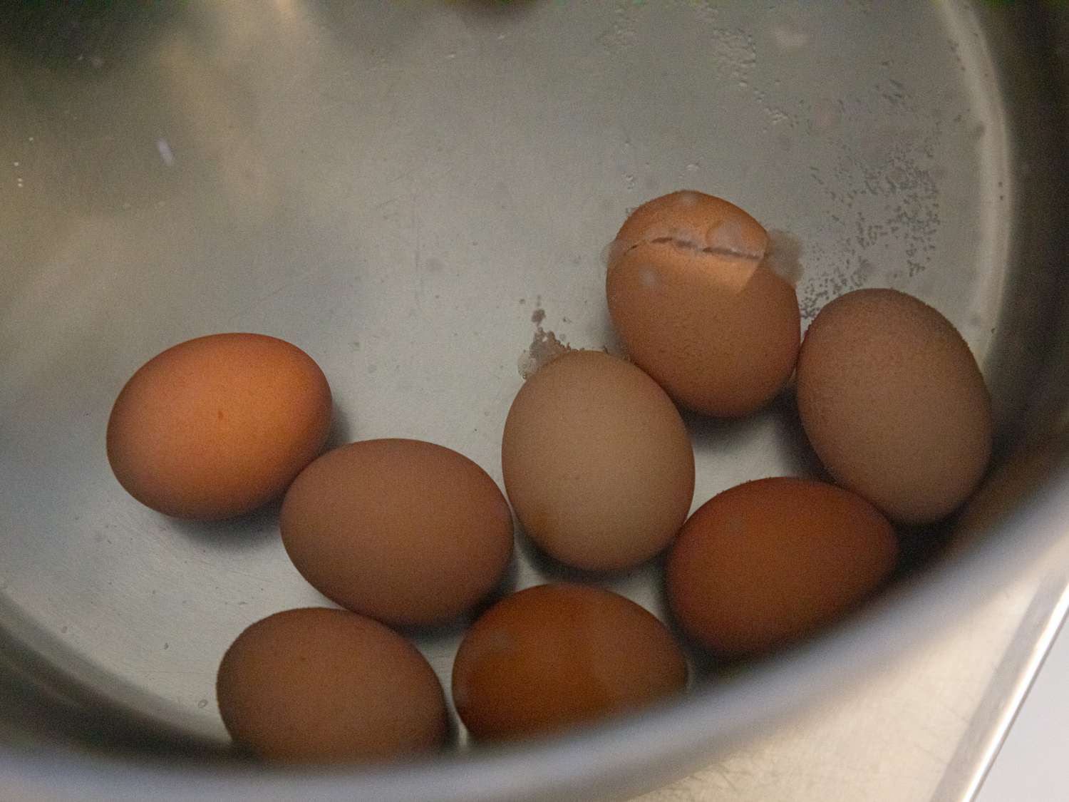 Overhead view of eggs 