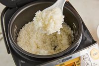 Cooked rice being scooped up out of the Zojirushi rice cooker.
