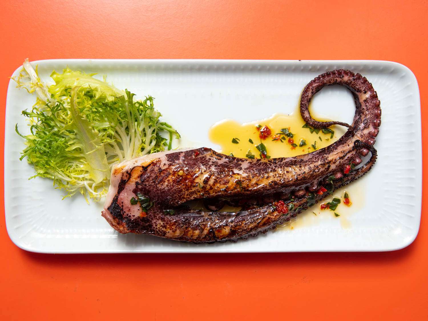 A grilled octopus tentacle, plated with frisée and liberally drizzled with chile-herb oil.