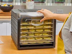 A person holding Samson Silent Dehydrator