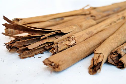 20110120-133294-cinnamon-canela.jpg
