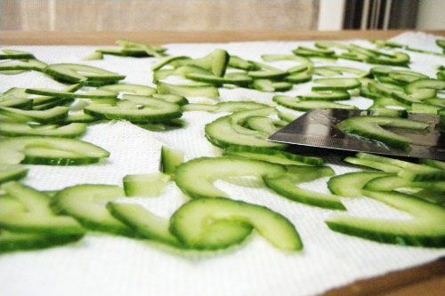 20100715cucumbers.jpg