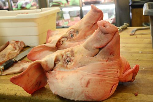 Two whole pigs heads on a wooden counter at a butcher shop