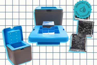 true cubes ice maker with seriously good badge on a gridded background