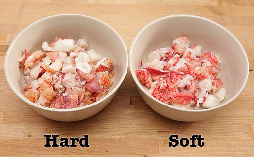 20130527-lobster-hard-versus-soft4.jpg