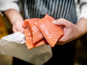 Person holding several fillets of raw salmon with a white bag nearby