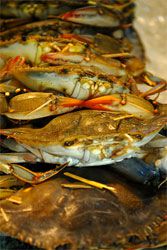 A pile of soft shell crabs. 