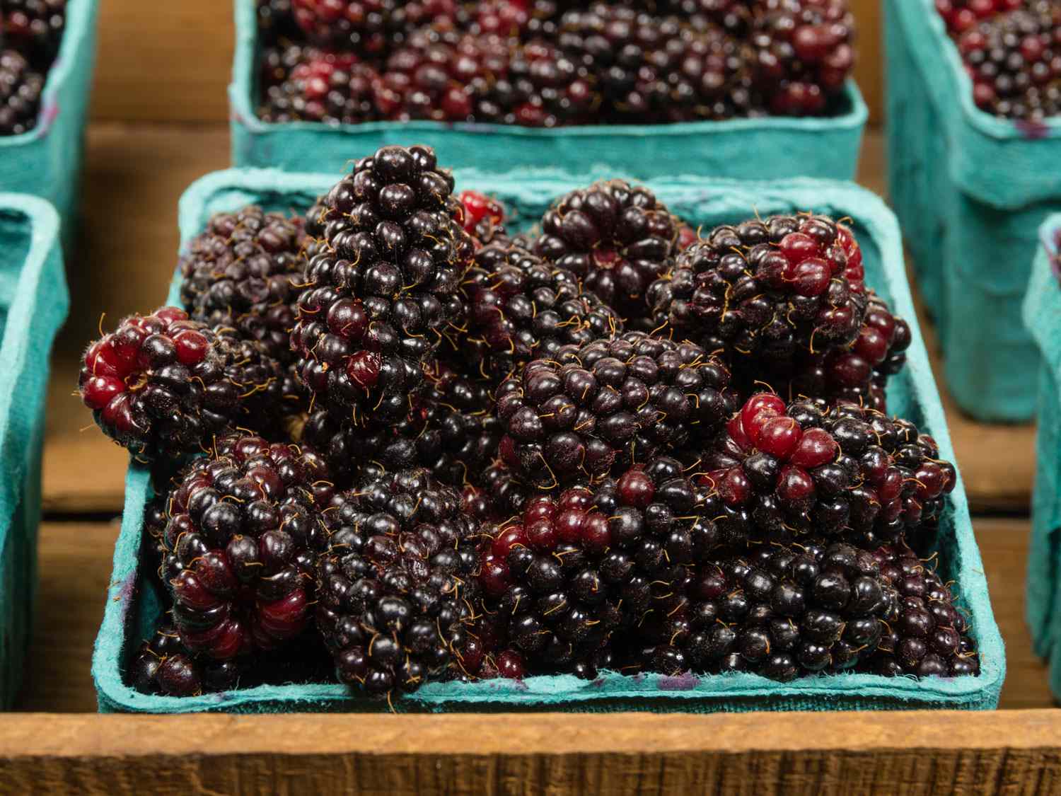 Cardboard pint containers filled with ripe blackberries
