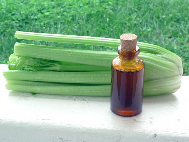 A small corked bottle of DIY celery bitters next to a bunch of celery. A freshly-mowed lawn is in the background.
