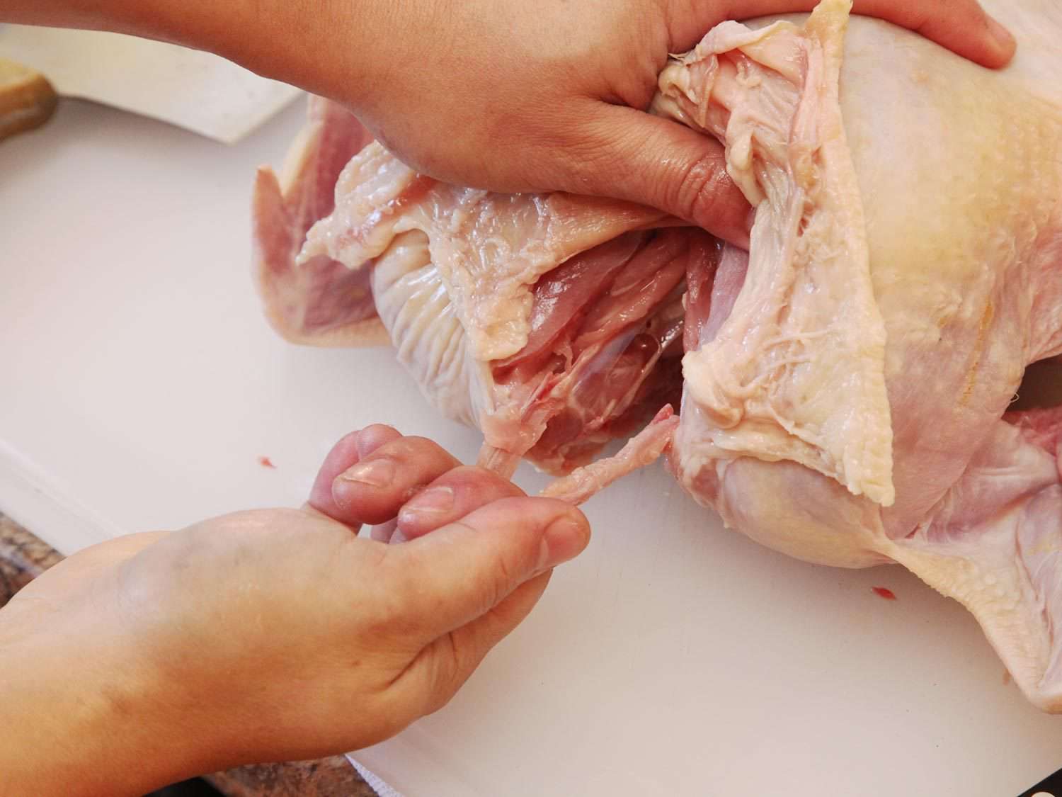 Author pulls the wishbone free.