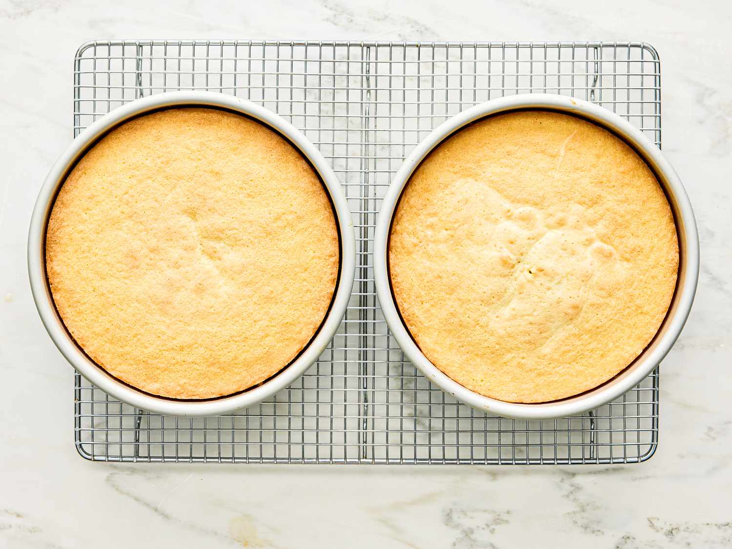 Two round sponge cakes cooling in pans on a wire rack