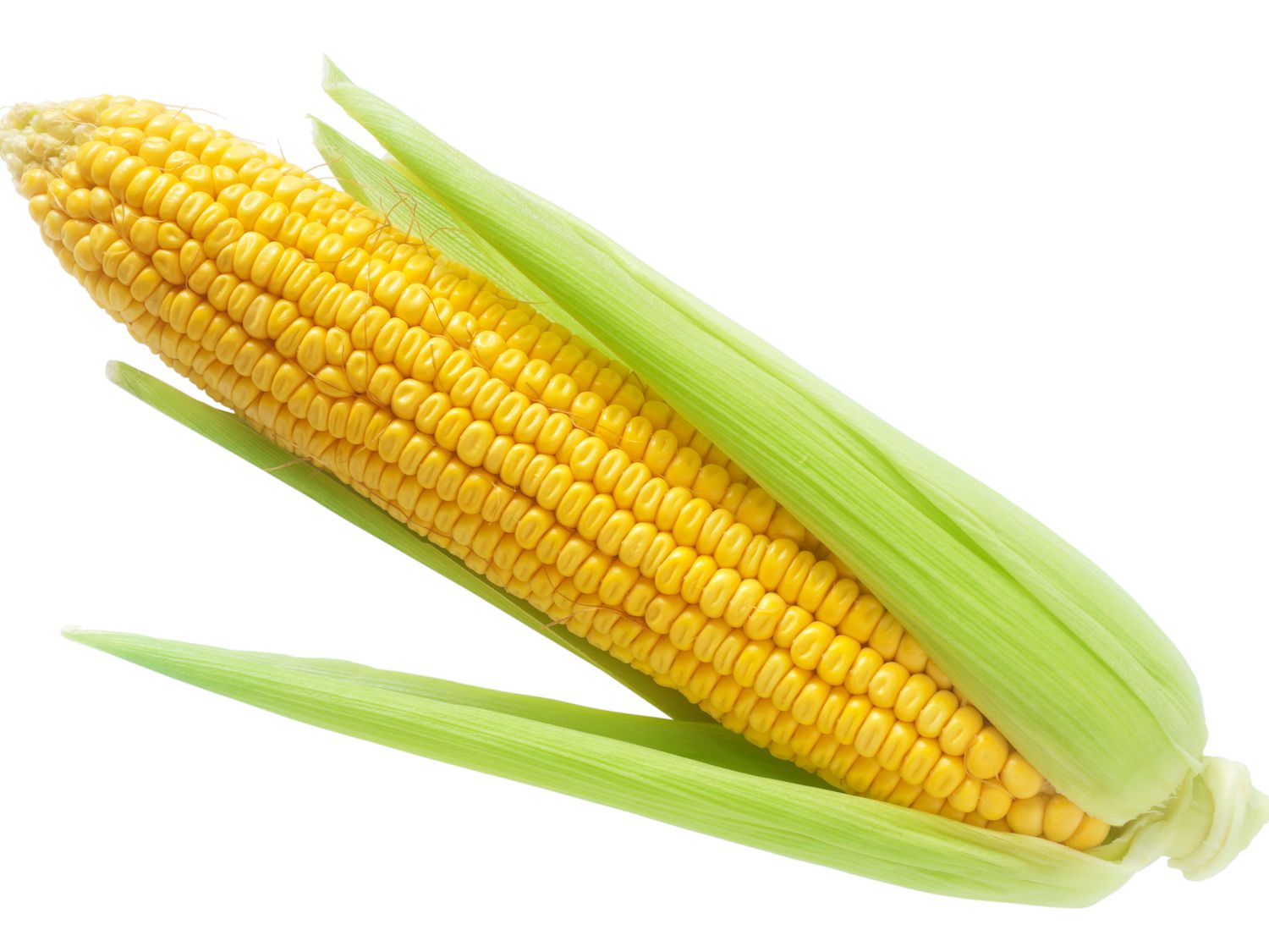 Image of field corn