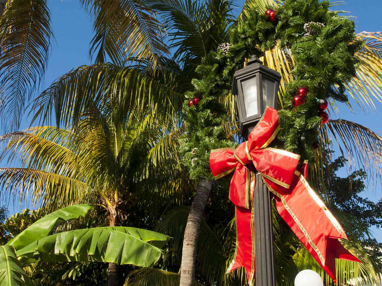 xmas-florida-shutterstock_153343976.jpg