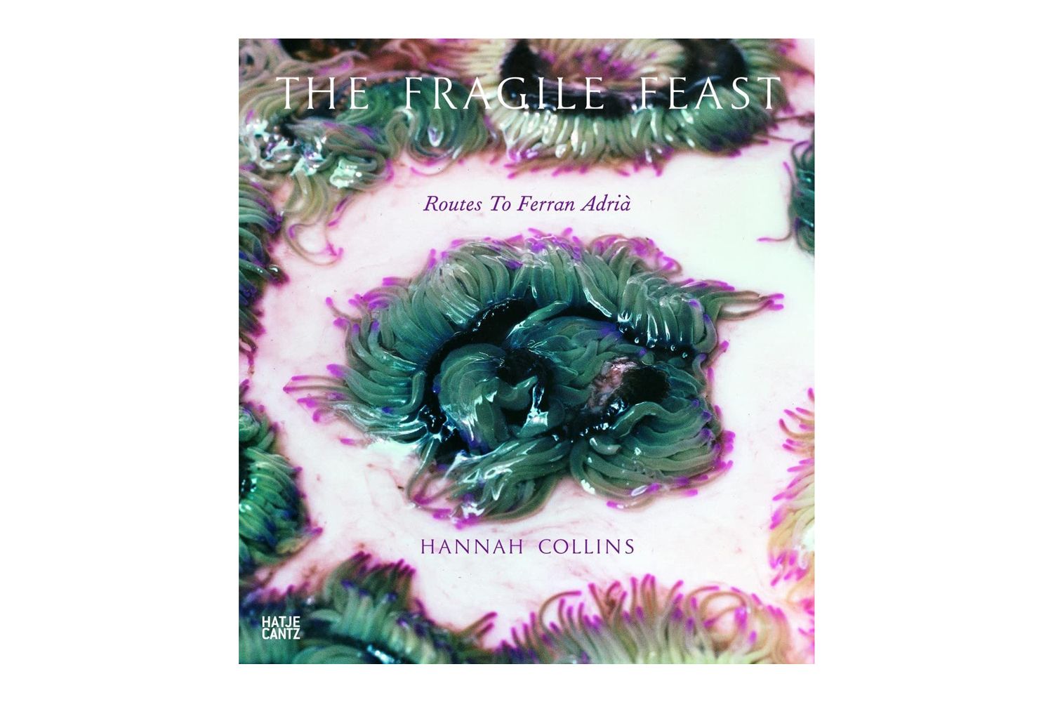 Amazon The Fragile Feast, Routes to Ferran Adrià