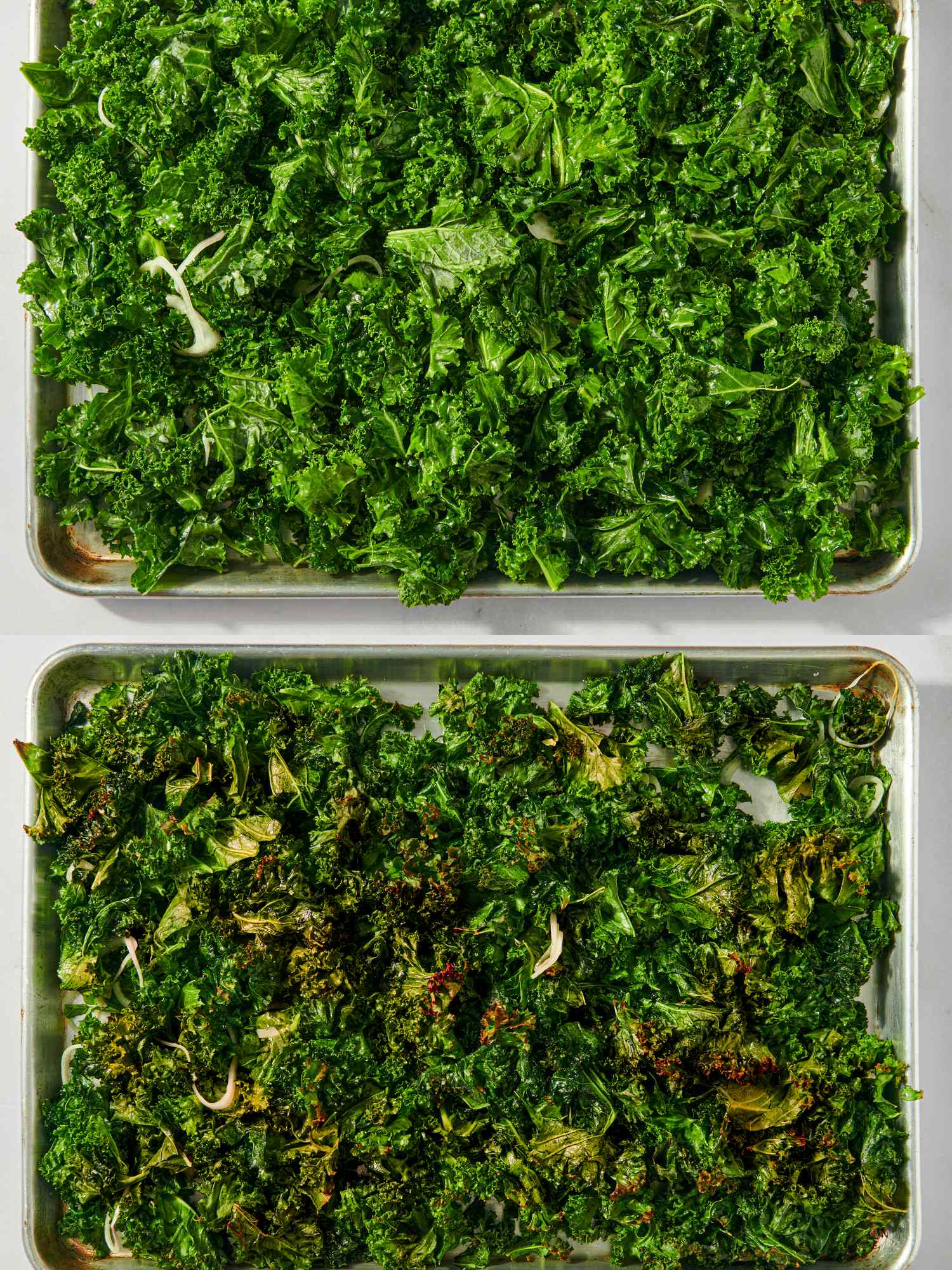 Two baking sheets one with raw kale and one with roasted kale