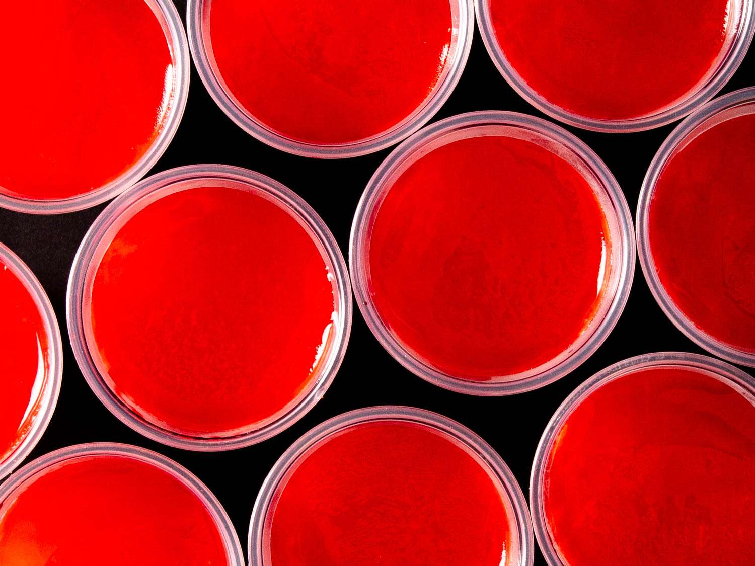 Overhead of Chilly bears (Red KoolAid frozen in plastic cups)