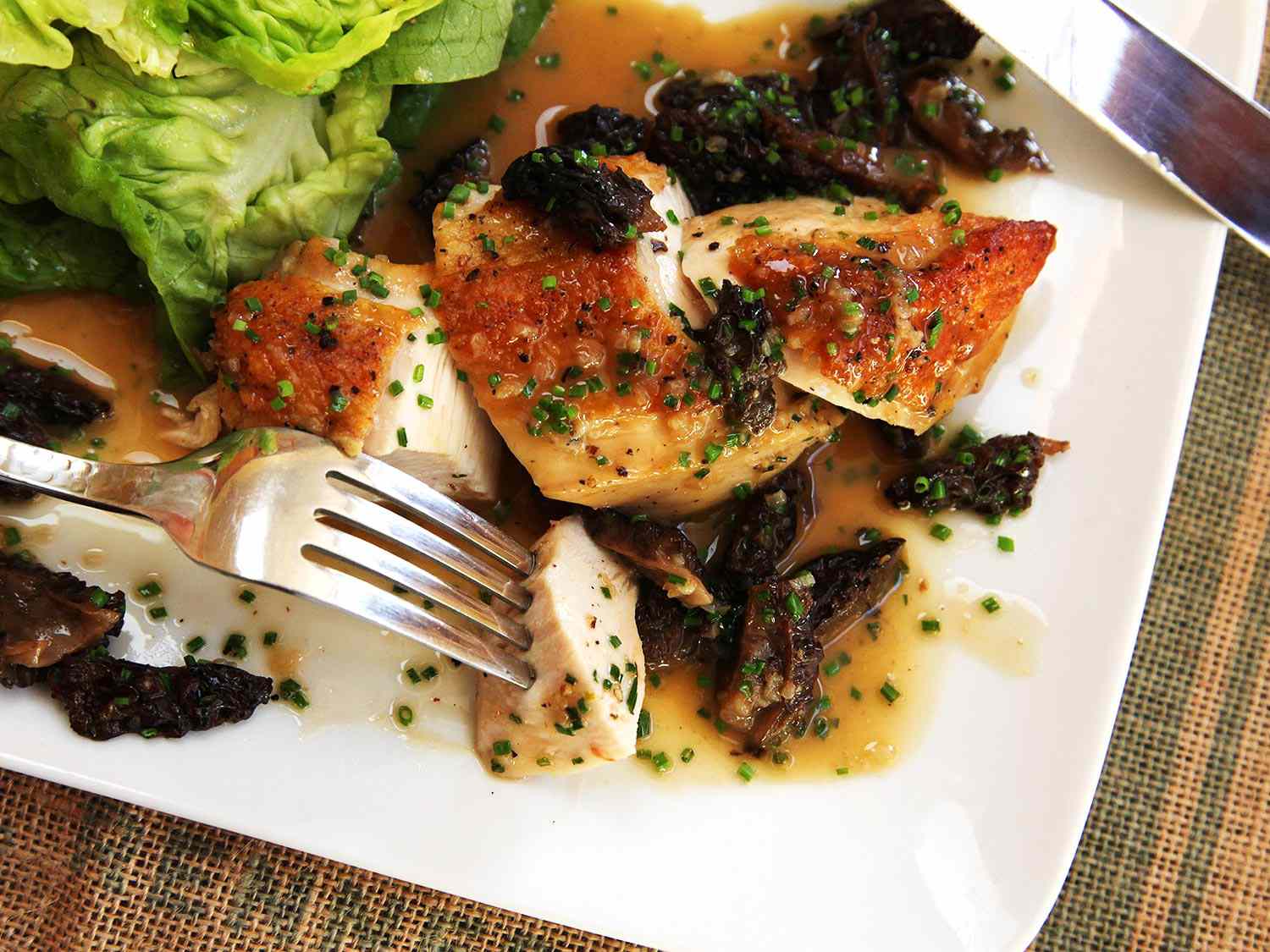 Overhead closeup of Pan-Roasted Chicken Breasts With Morel Mushroom Pan Sauce, served on a square white dinner plate with dressed baby gem lettuce leaves.