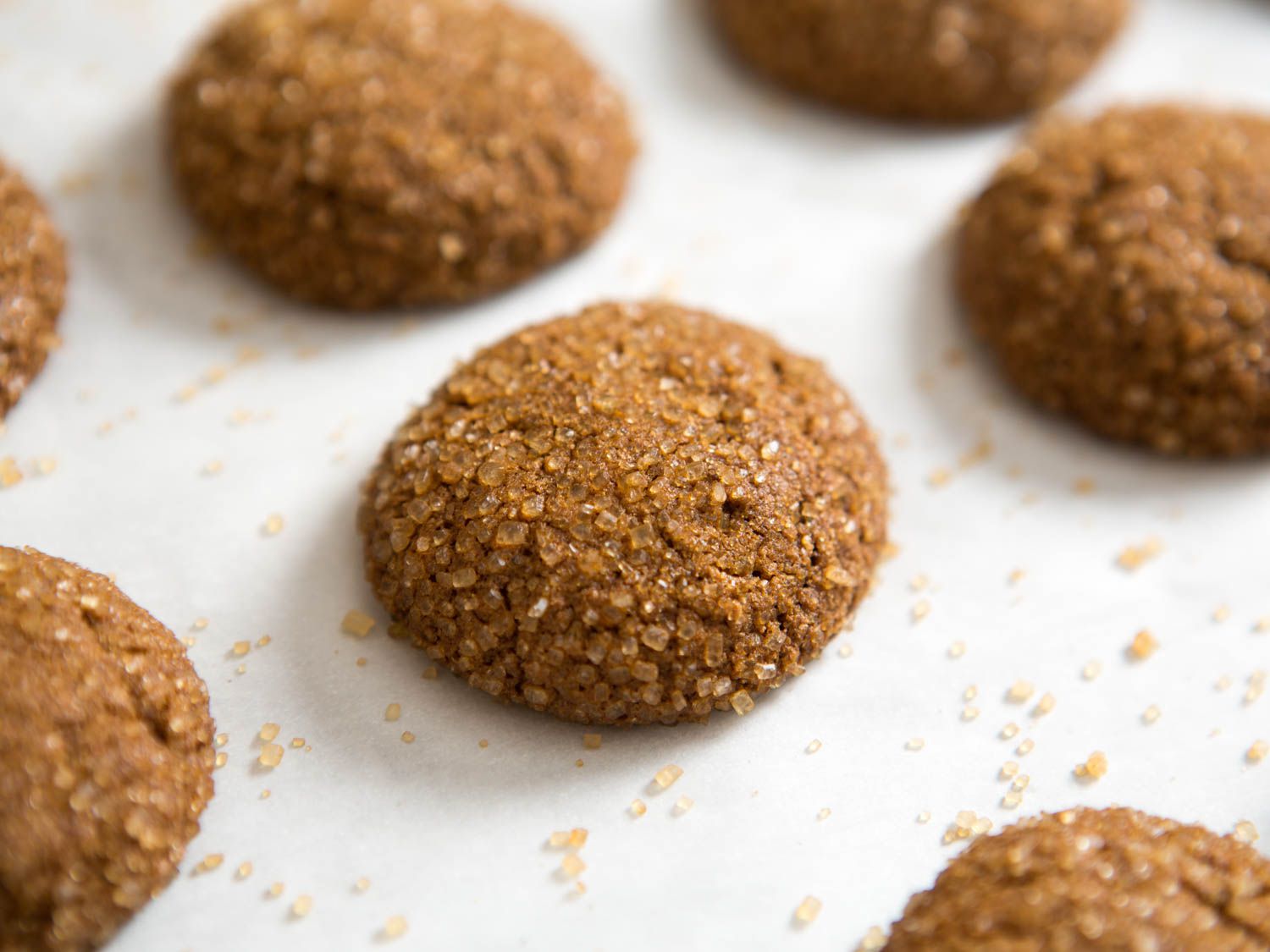 Just baked gingersnap cookies.