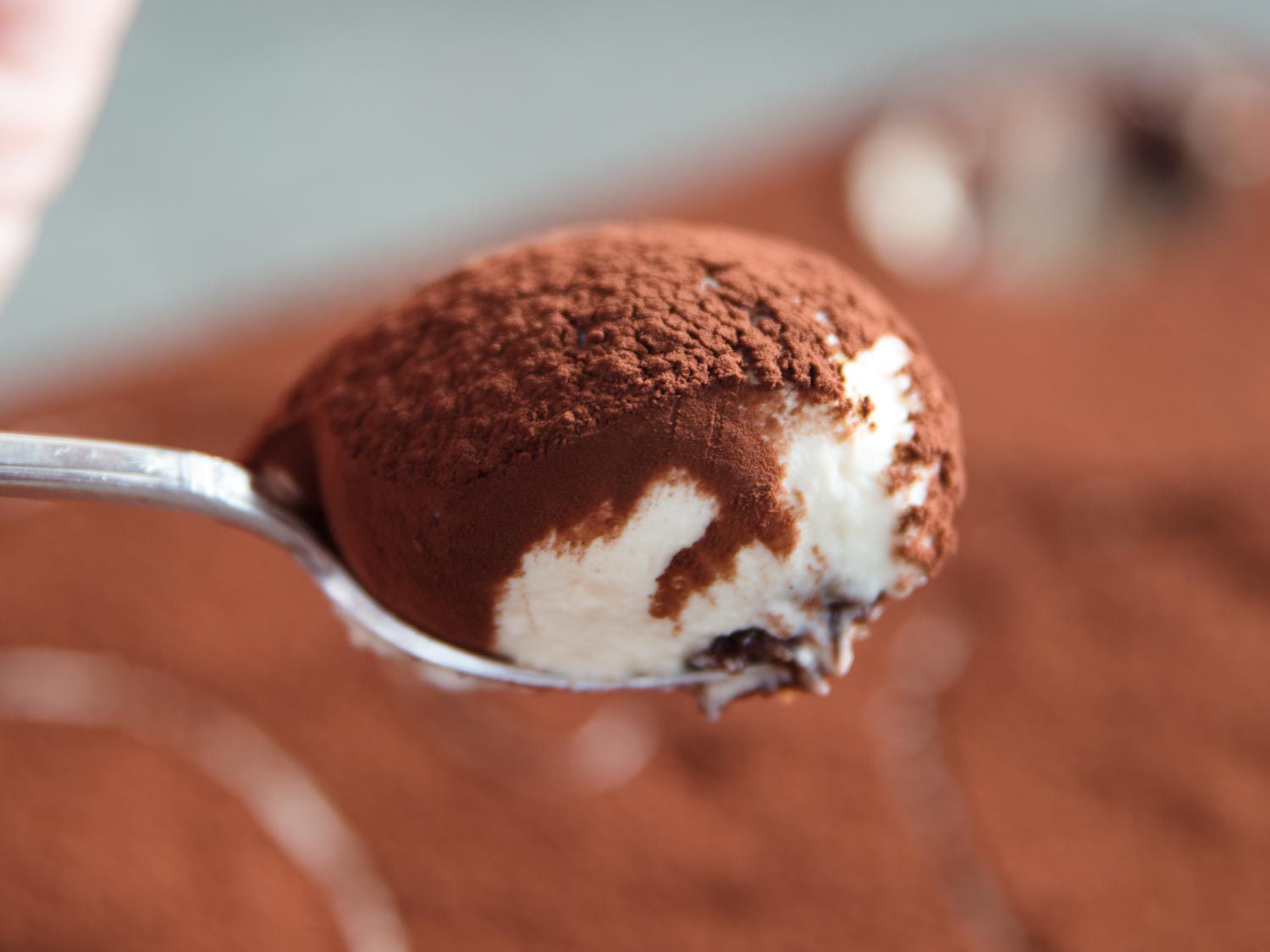 A luscious bite of tiramisu.