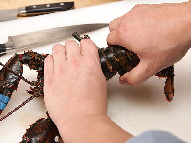 Holding the tail and carapace of a lobster to pull off the tail