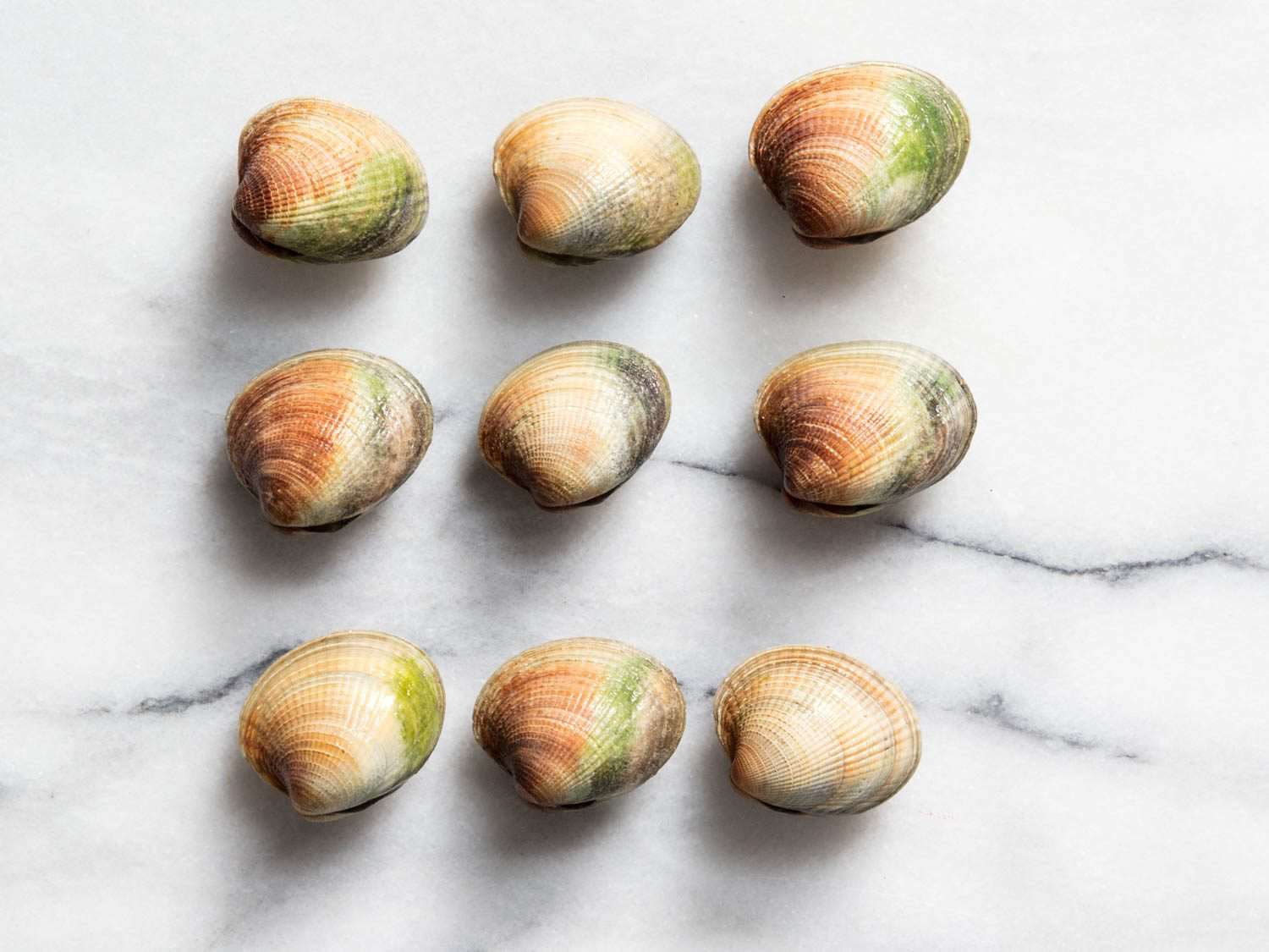 Nine variations of cockles.