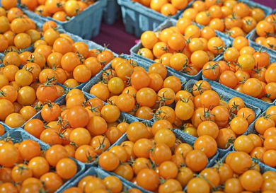 Multiple baskets of orange cherry tomatoes arranged on a table