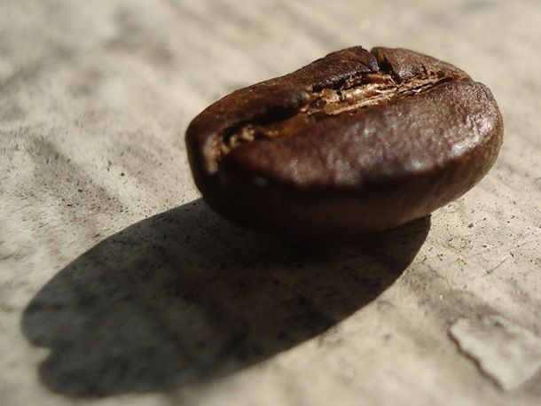 20101013coffeebean.jpg