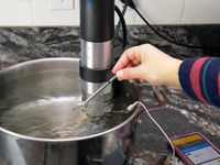 a person holding the probe in a sous vide water bath