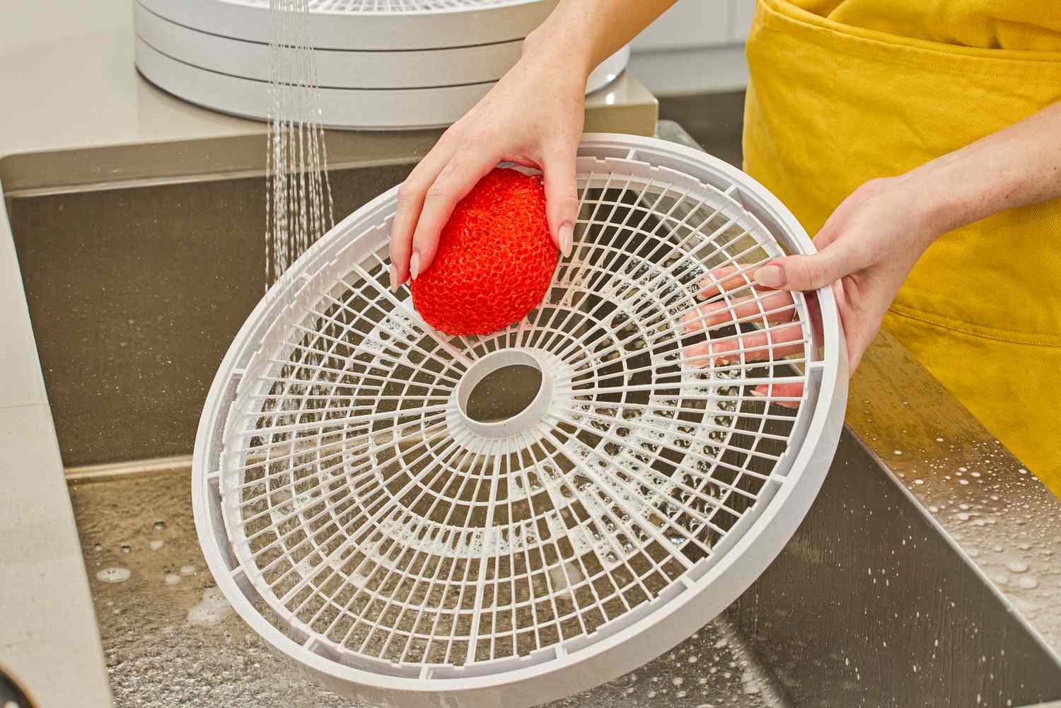 A person washing the tray of Nesco Gardenmaster Digital Pro Food Dehydrator