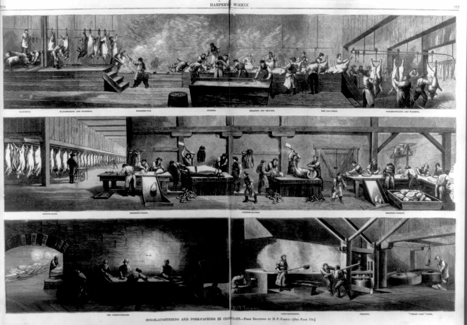 Illustration of hog packing operation in Cincinnati