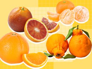 Graphic with different types of oranges