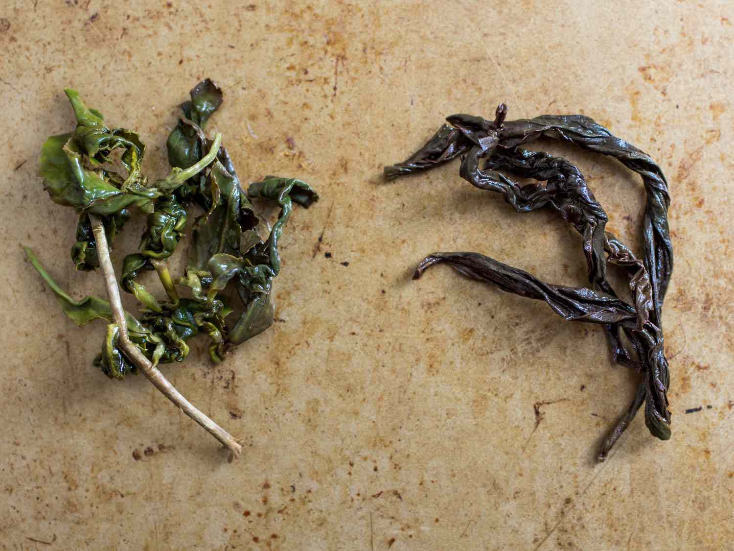A closeup of two different kinds of steeped oolong tea leaves