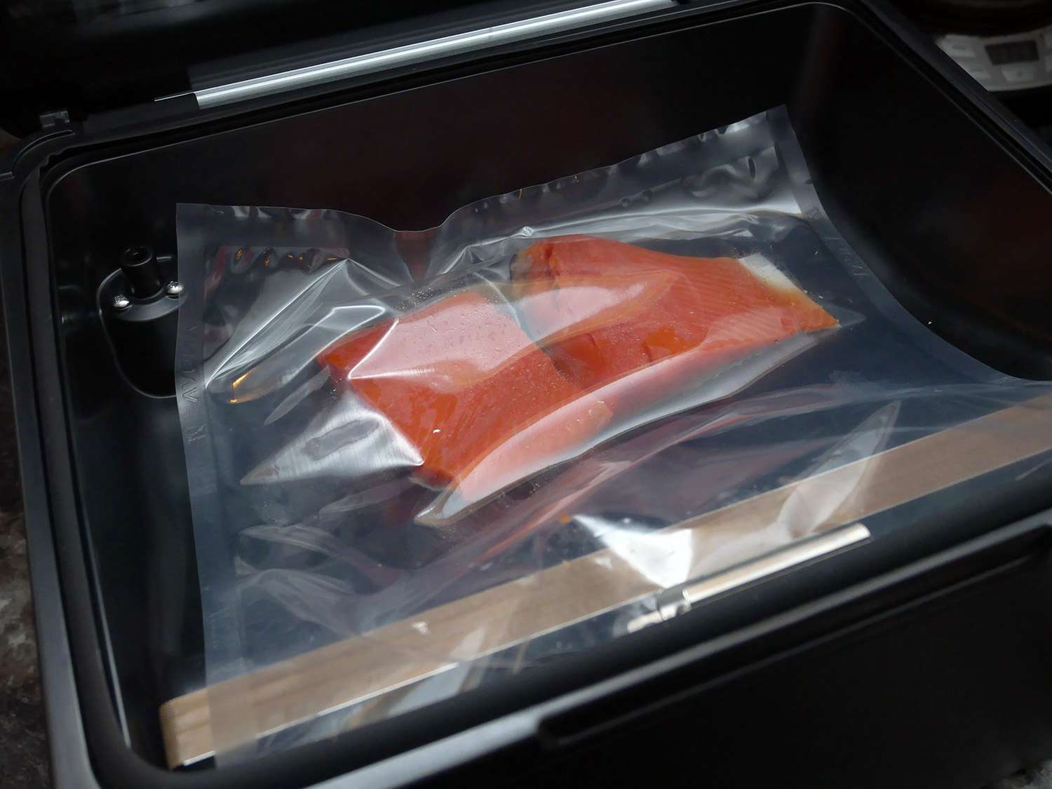 salmon in plastic vacuum seal bag in anova chamber sealer prior to sealing