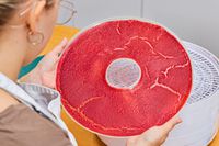 A person holding food leather