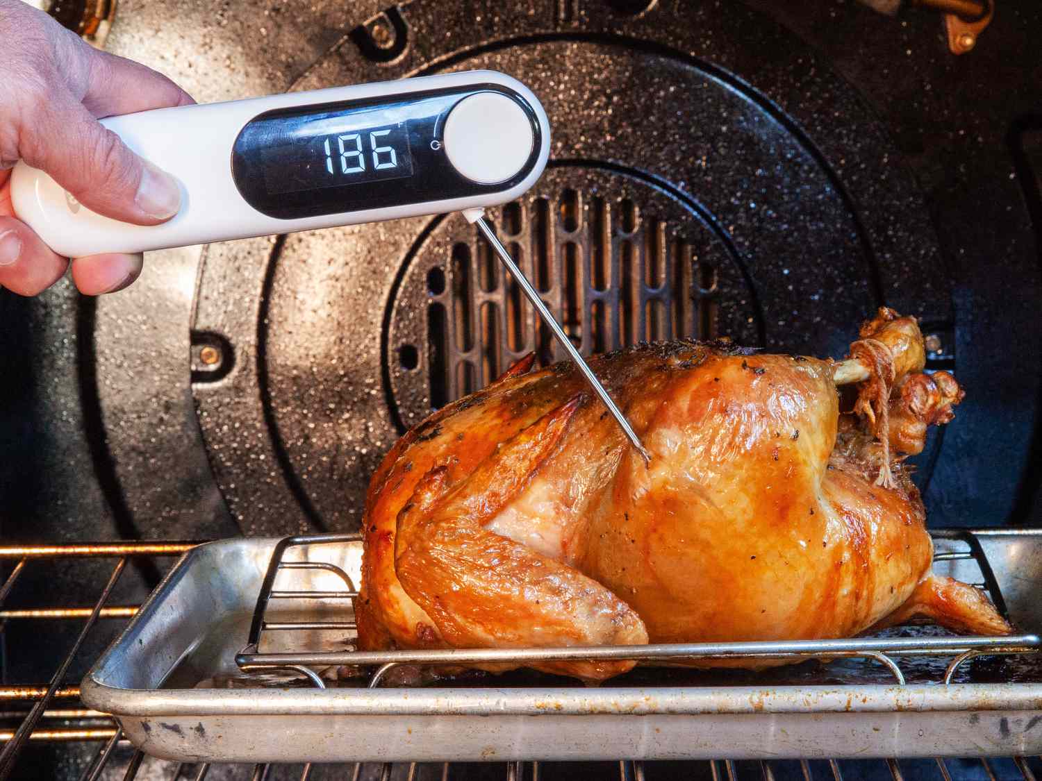 Person using OXO Good Grips Thermocouple Thermometer to check temperature of cooked chicken