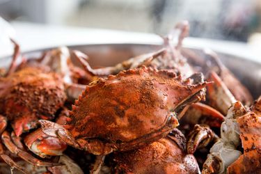 20180611-crab-boil-vicky-wasik-10