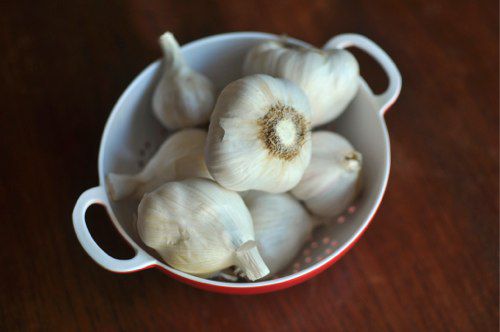 A bowl of whole, unpeeled garlic heads.