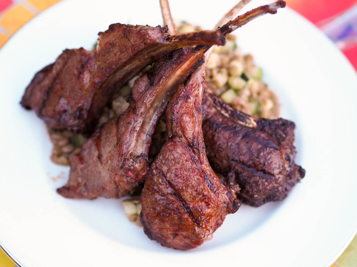 Closeup of grilled berbere-spiced lamb chops, shingled on top of cucumber-lentil salad.