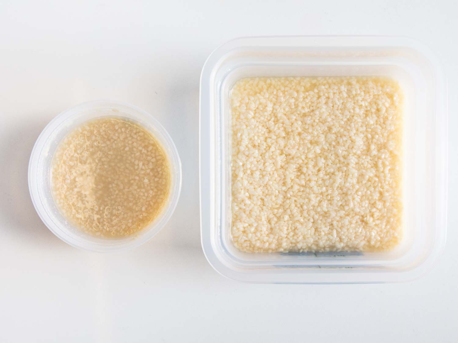 A cambro and a deli container containing shio koji marinade.