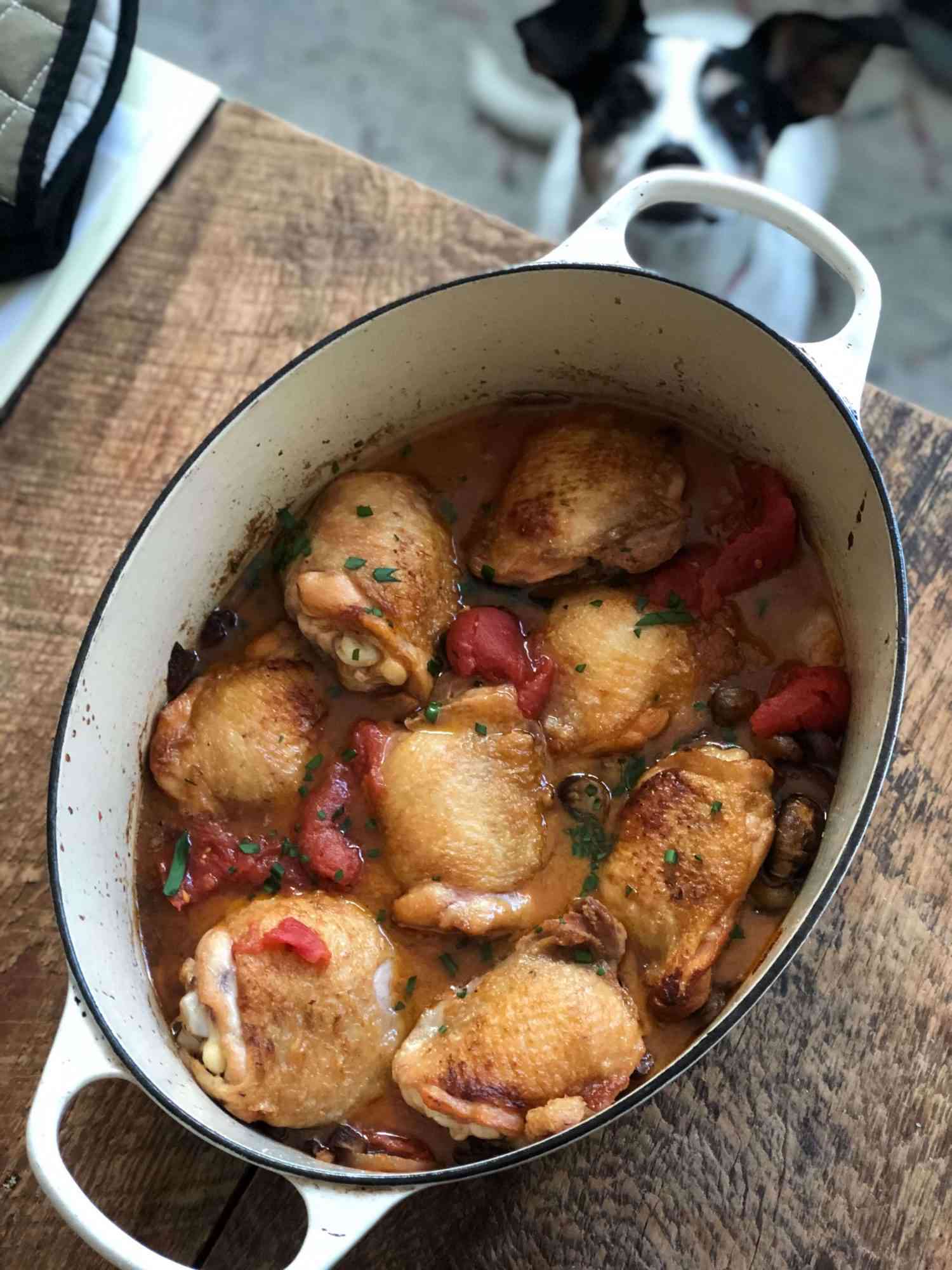 dutch oven filled with chicken cacciatore