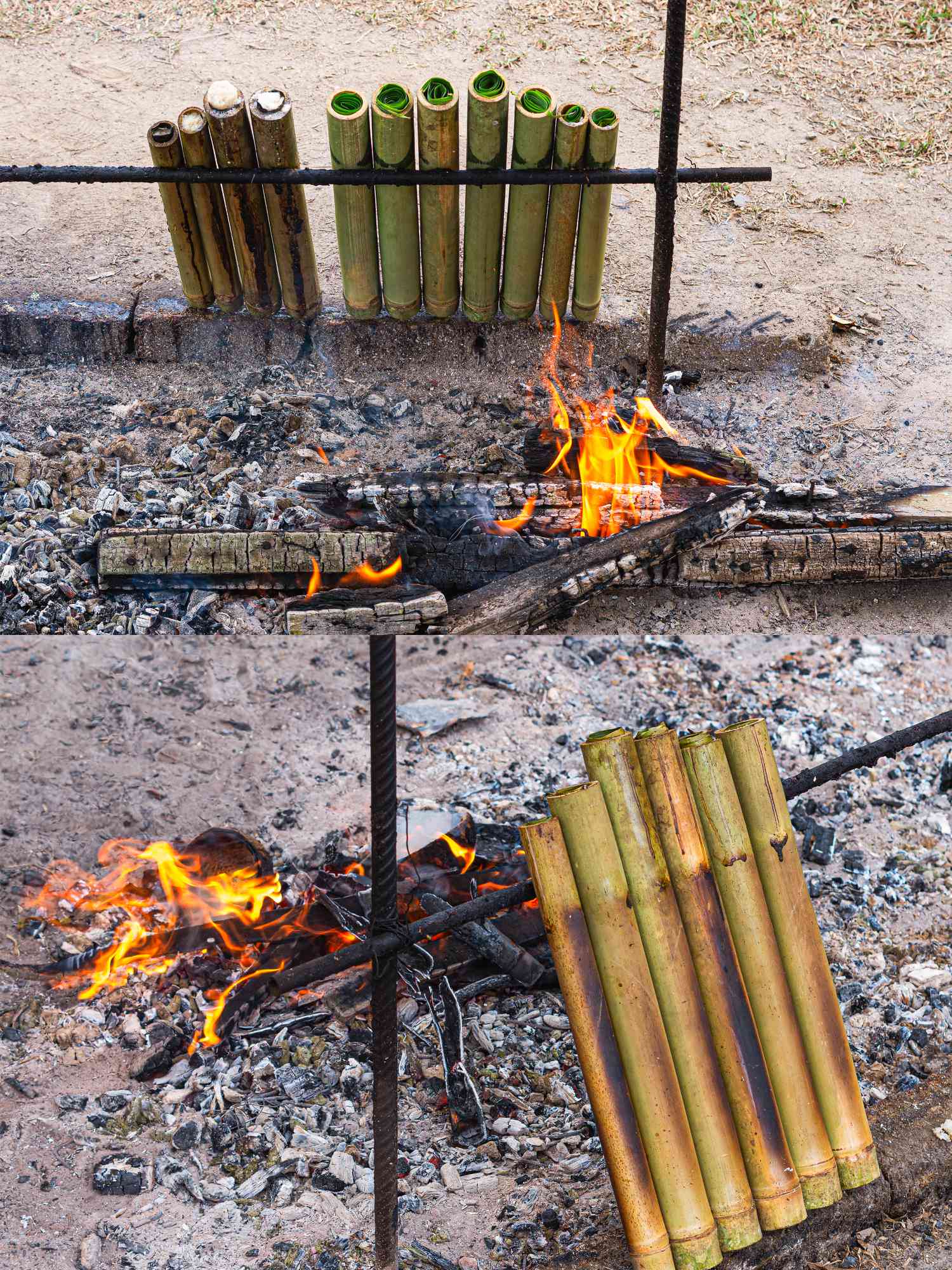 Two image collage of bamboo culms cooking over fire