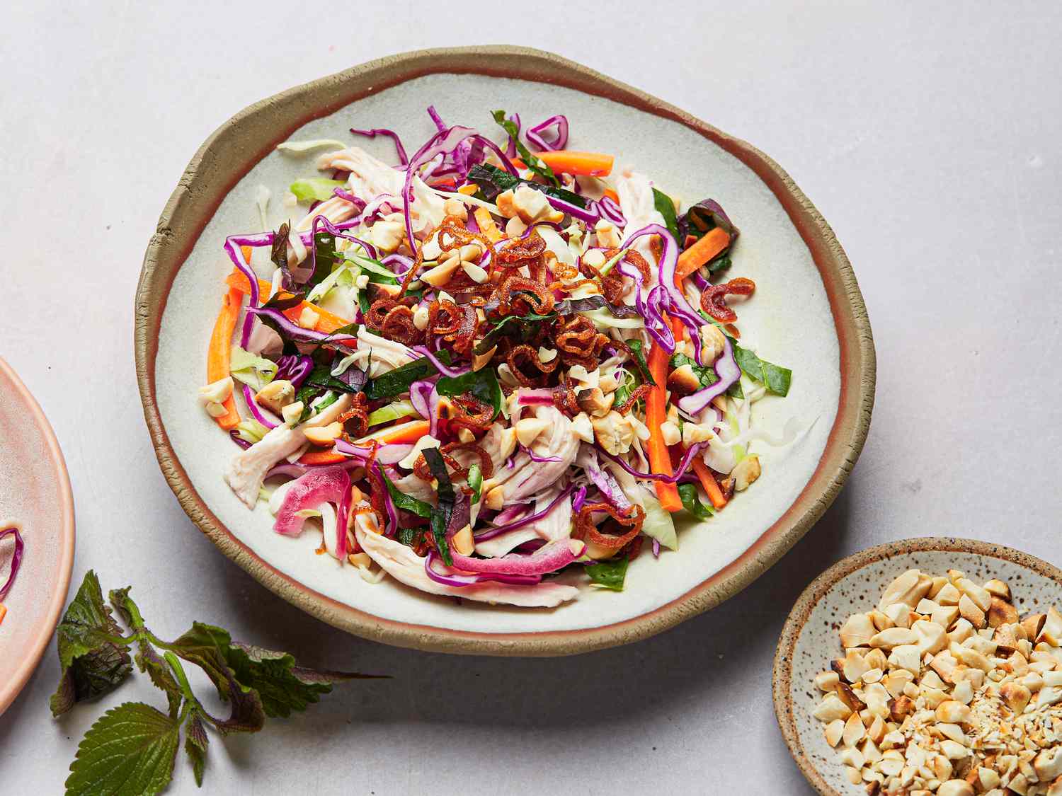 Side view of chicken and cabbage salad