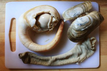 raw geoduck on a cutting board