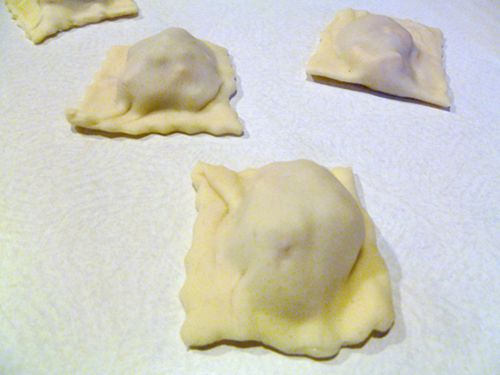 Ravioli-like squares filled with meat and cheese for homemade pizza rolls