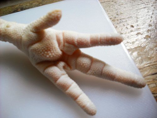 20090804-nastybits-chickenfeet-close.jpg